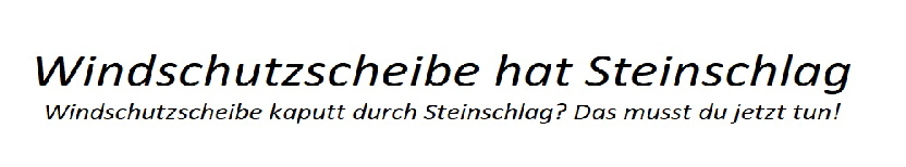 Windschutzscheibe mit Steinschlag |Keine Panik bei Steinschlag: So reparierst du deine Windschutzscheibe schnell und einfach