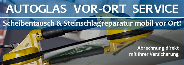 Steinschlag Reparatur kosten| 